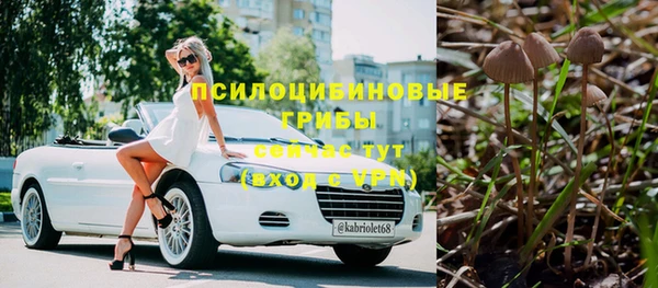 jwh Каменногорск