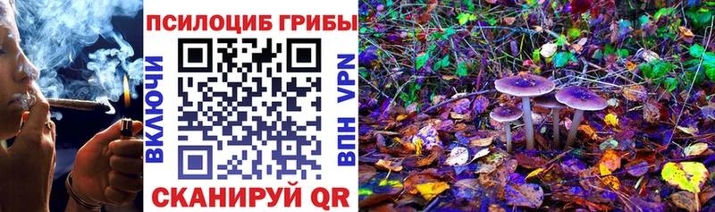 Купить Бахчисарай Псилоцибиновые грибы Cubensis